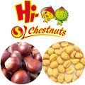 bulk frozen chestnuts from china